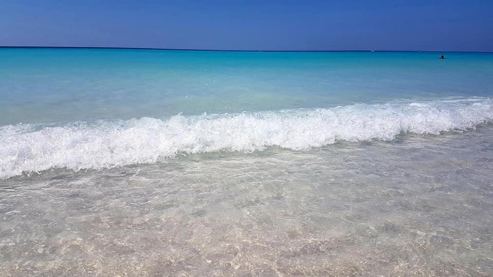 Il Poggio *