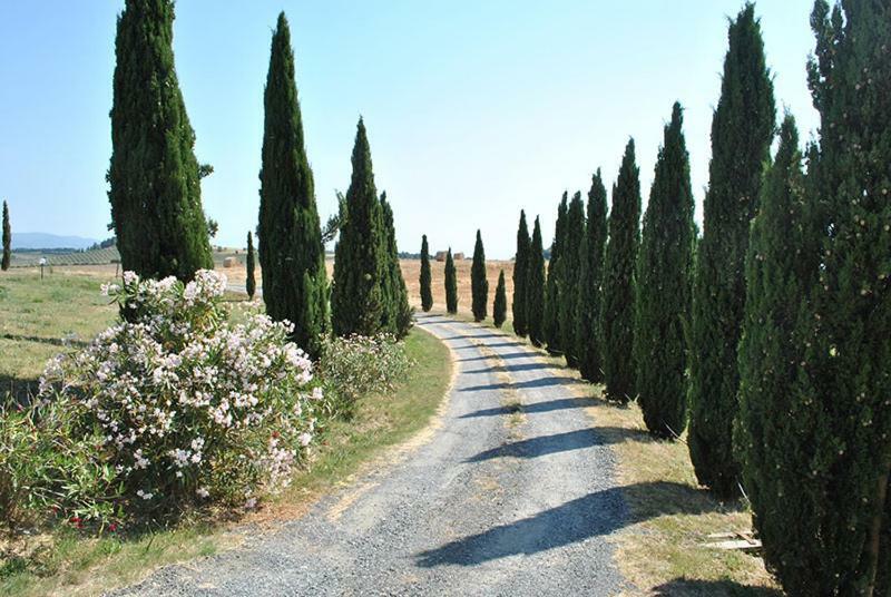Il Poggio *