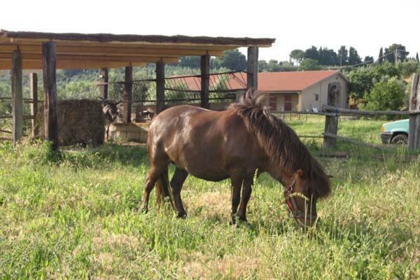 Il Poggio Casale Marittimo